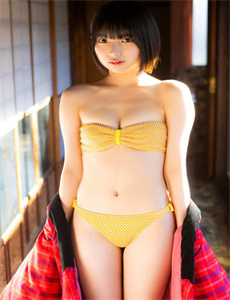 飞龙夺宝